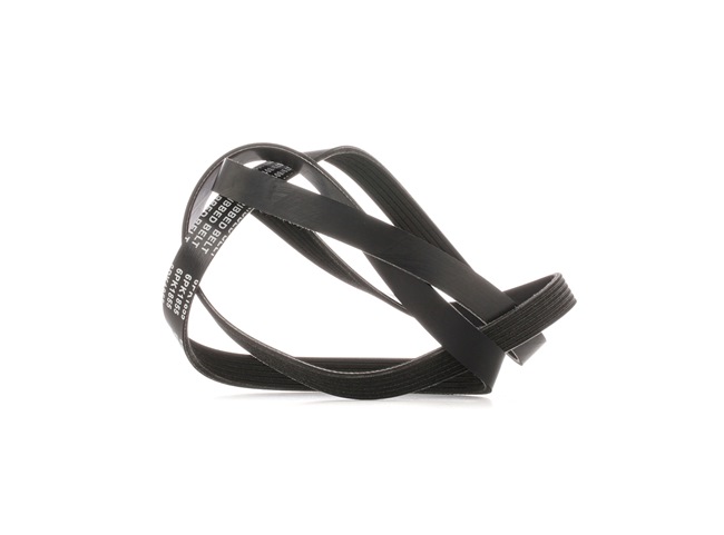 Pasek Klinowy Wielorowkowy Stark SKPB-0090037 SKPB-0090037 - foto 1