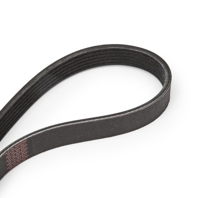 Zestaw paska klinowego wielorowkowego RIDEX 542R0052P 542R0052P - foto 14