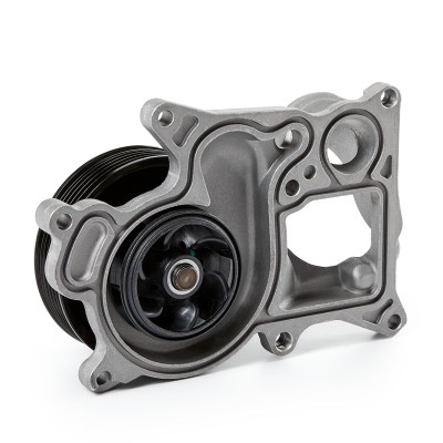 Pompa Wody RIDEX 1260W0289 1260W0289 - foto 7