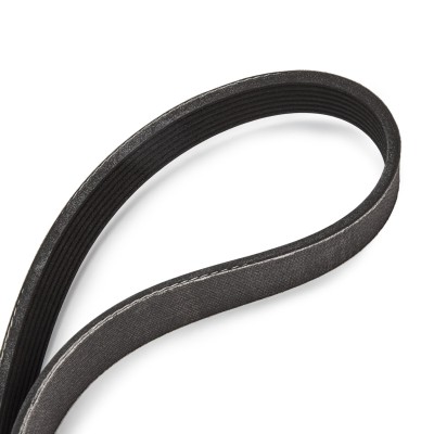 Zestaw paska klinowego wielorowkowego RIDEX 542R0421P 542R0421P - foto 12