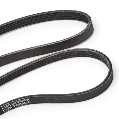 Zestaw paska klinowego wielorowkowego RIDEX 542R0060P 542R0060P - foto 14