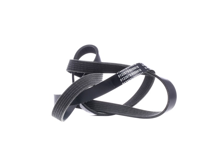 Pasek Klinowy Wielorowkowy Stark SKPB-0090224 SKPB-0090224 - foto 1