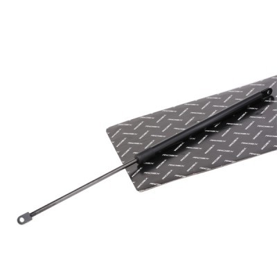 Amortyzator Pokrywy Bagażnika RIDEX 219G0884 219G0884 - foto 2