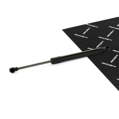 Amortyzator Pokrywy Bagażnika RIDEX 219G1122 219G1122 - foto 1