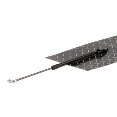 Amortyzator Pokrywy Bagażnika RIDEX 219G0580 219G0580 - foto 2