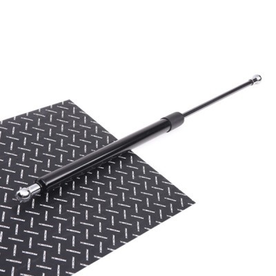 Amortyzator Pokrywy Bagażnika RIDEX 219G0600 219G0600 - foto 2