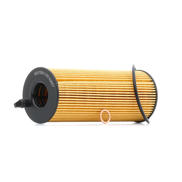 Filtr Oleju RIDEX 7O0023P 7O0023P - foto 1