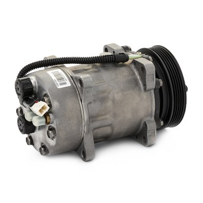 Sprężarka Klimatyzacji 447K1103R - foto 4