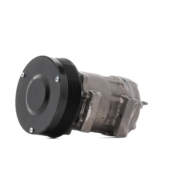Sprężarka Klimatyzacji 447K1202R - foto 1