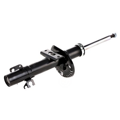 Amortyzator RIDEX 854S0308 854S0308 - foto 4
