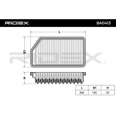 Filtr Powietrza RIDEX 8A0413 8A0413 - foto 4