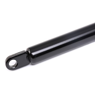Amortyzator Pokrywy Bagażnika RIDEX 219G0294 219G0294 - foto 4