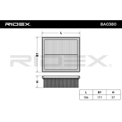 Filtr Powietrza RIDEX 8A0380 8A0380 - foto 6