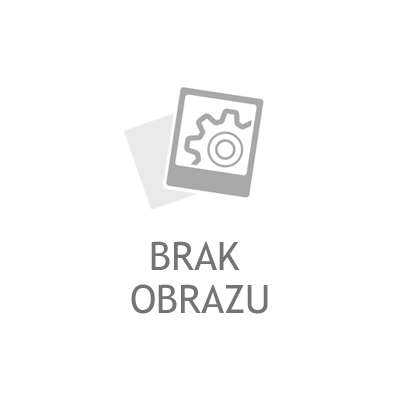 Amortyzator Pokrywy Bagażnika RIDEX 219G0072 219G0072 - foto 8