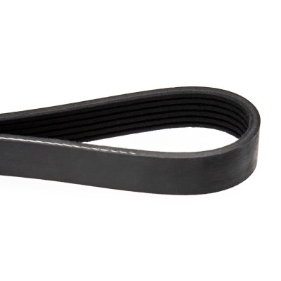 Pasek Klinowy Wielorowkowy RIDEX 305P0102 305P0102 - foto 5