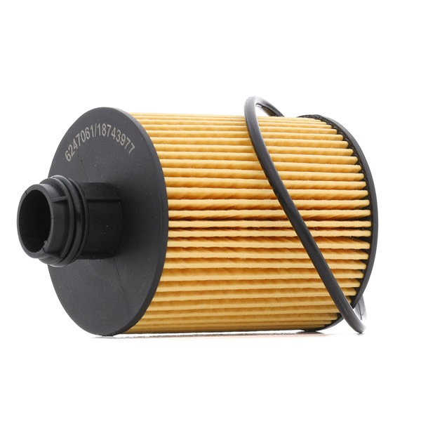 Filtr Oleju RIDEX 7O0058P 7O0058P - foto 1