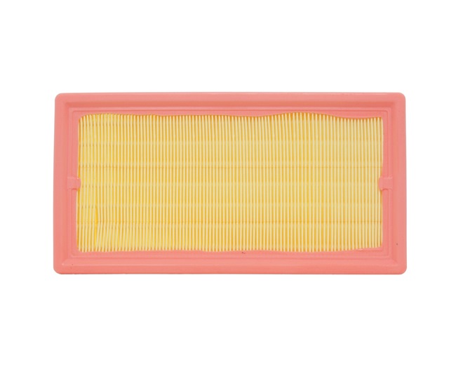 Filtr Powietrza RIDEX 8A0429 8A0429 - foto 1