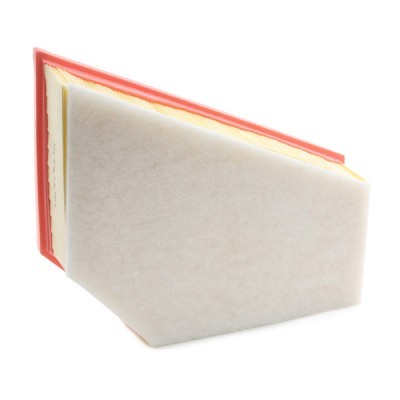 Filtr Powietrza RIDEX 8A0550 8A0550 - foto 4