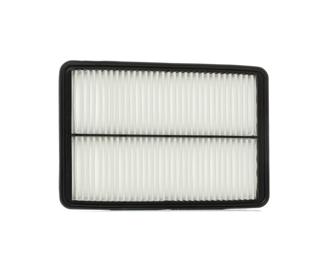 Filtr Powietrza RIDEX 8A0670 8A0670 - foto 1