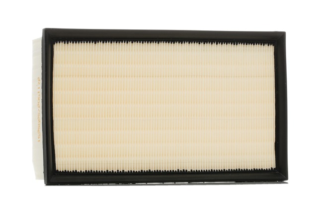 Filtr Powietrza RIDEX 8A0277 8A0277 - foto 1