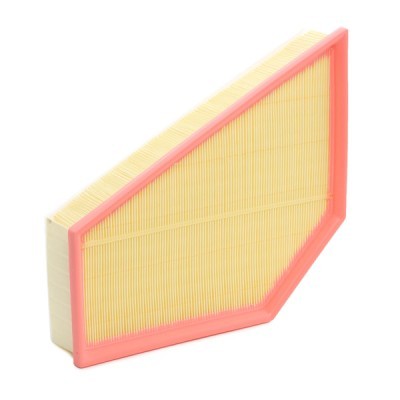 Filtr Powietrza RIDEX 8A0550 8A0550 - foto 3