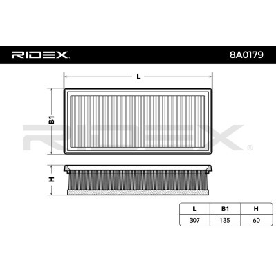 Filtr Powietrza RIDEX 8A0179 8A0179 - foto 3