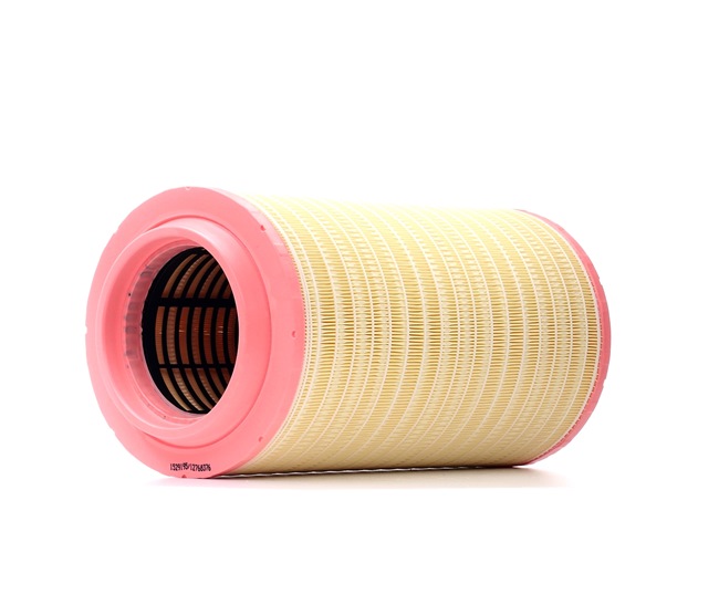 Filtr Powietrza RIDEX 8A0732 8A0732 - foto 1