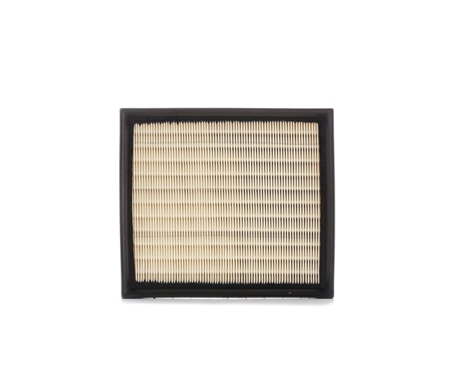 Filtr Powietrza RIDEX 8A0282 8A0282 - foto 1