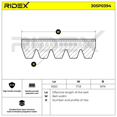 Pasek Klinowy Wielorowkowy RIDEX 305P0394 305P0394 - foto 5