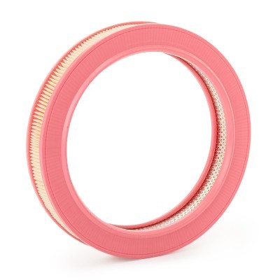 Filtr Powietrza RIDEX 8A0683 8A0683 - foto 5