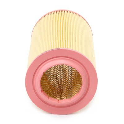 Filtr Powietrza RIDEX 8A0099P 8A0099P - foto 4