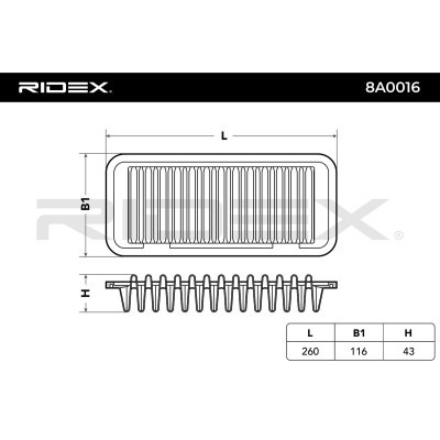 Filtr Powietrza RIDEX 8A0016 8A0016 - foto 5