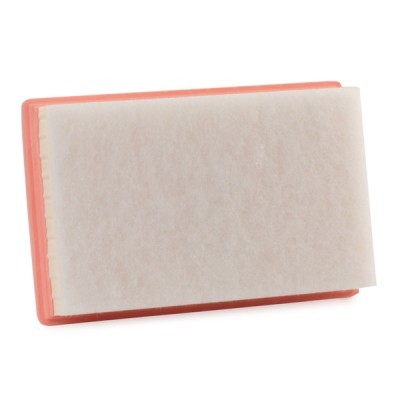 Filtr Powietrza RIDEX 8A0636 8A0636 - foto 4