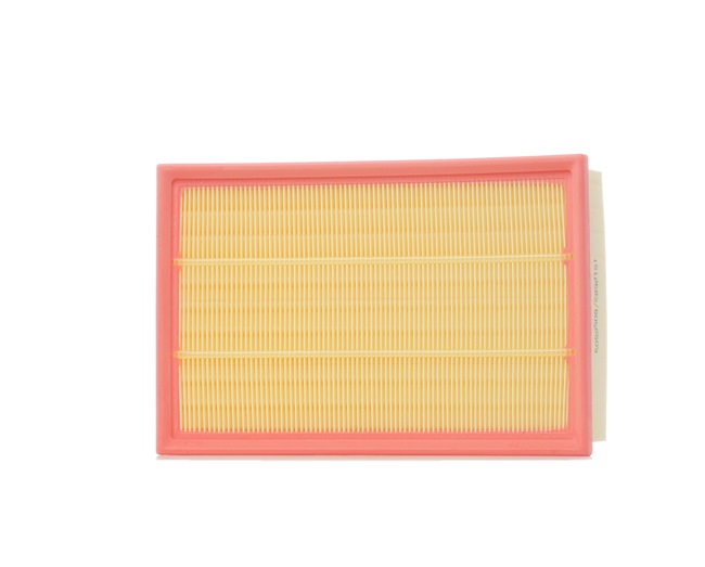 Filtr Powietrza RIDEX 8A0311 8A0311 - foto 1