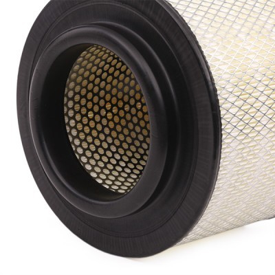 Filtr Powietrza RIDEX 8A0231 8A0231 - foto 6