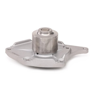 Pompa Wody RIDEX 1260W0200 1260W0200 - foto 5