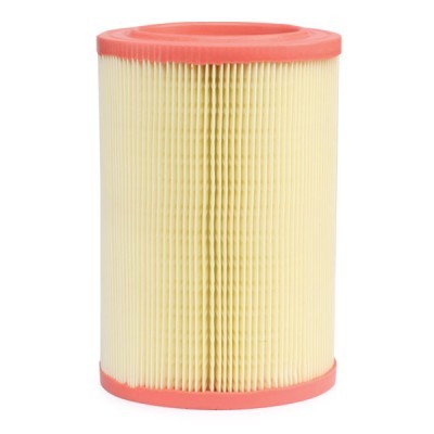 Filtr Powietrza RIDEX 8A0391 8A0391 - foto 3