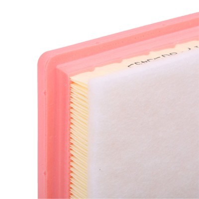 Filtr Powietrza RIDEX 8A0429 8A0429 - foto 5