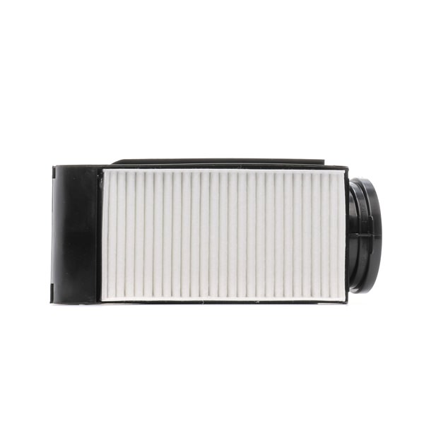 Filtr Powietrza RIDEX 8A0771P 8A0771P - foto 1