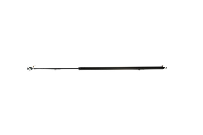 Amortyzator Pokrywy Bagażnika RIDEX 219G0651 219G0651 - foto 1
