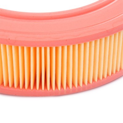 Filtr Powietrza RIDEX 8A0618 8A0618 - foto 5