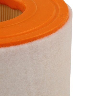 Filtr Powietrza RIDEX 8A0403 8A0403 - foto 5