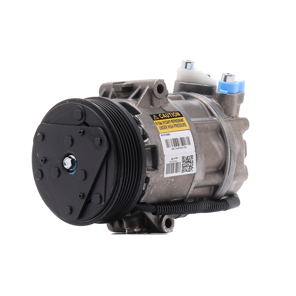 Sprężarka Klimatyzacji 447K1094R - foto 1