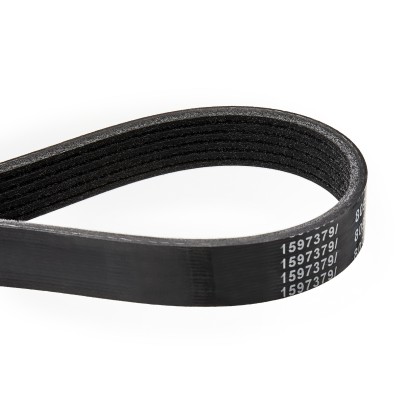 Pasek Klinowy Wielorowkowy RIDEX 305P0194 305P0194 - foto 5