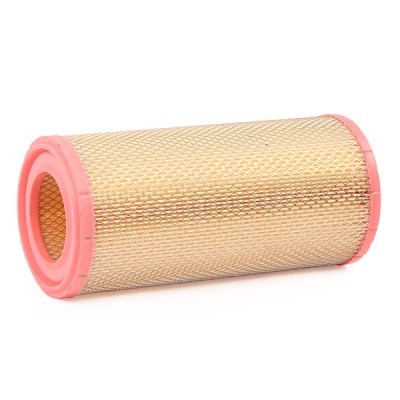 Filtr Powietrza RIDEX 8A0424 8A0424 - foto 4