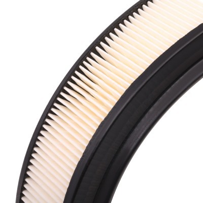 Filtr Powietrza RIDEX 8A0303 8A0303 - foto 5