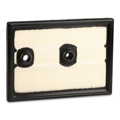 Filtr Powietrza RIDEX 8A0321 8A0321 - foto 8