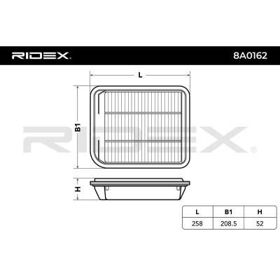 Filtr Powietrza RIDEX 8A0162 8A0162 - foto 6