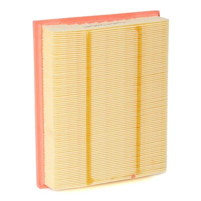 Filtr Powietrza RIDEX 8A0679 8A0679 - foto 4