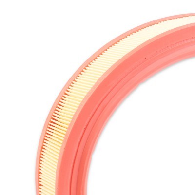 Filtr Powietrza RIDEX 8A0127 8A0127 - foto 4